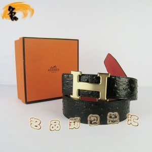 448 ¿ HermesƤ Hermes (i)RƤ rB(nio)yt 3.8cm