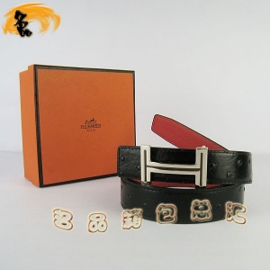 451 ¿ (i)RпƤ HermesƤ Hermes rB(nio)yt ȿ3cm
