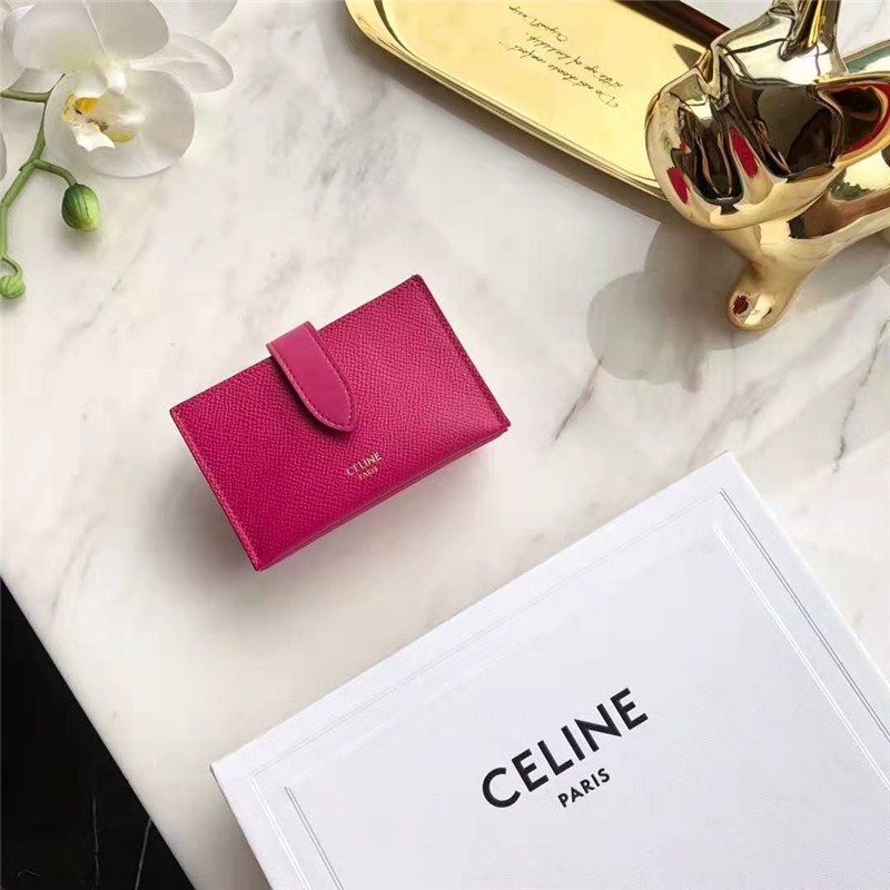 10B693 Celineِտ СţƤ CelineL޿ õtɫ 