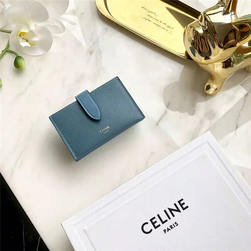 10B693 Celineِտ СţƤ CelineL޿ F{