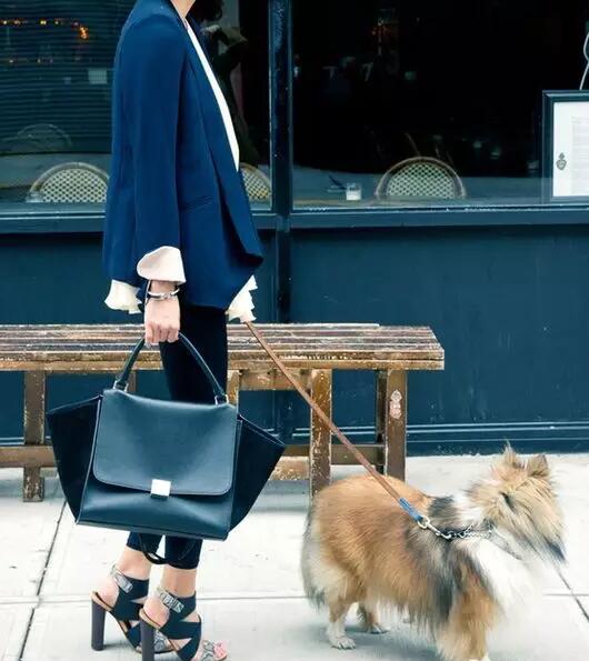 CELINE˼ֵIİBox, ЦĘǧĂ(g)r(ji)Ͷֹr(ji)