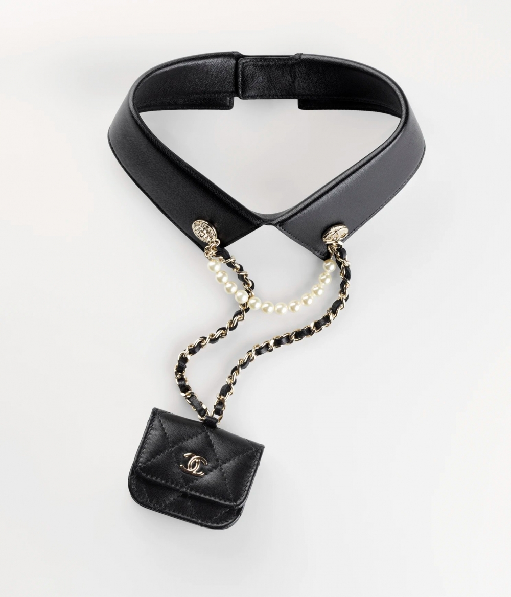 I(lng)O(sh)Ӌ׌@Collar with Airpods Pro Caser֝M